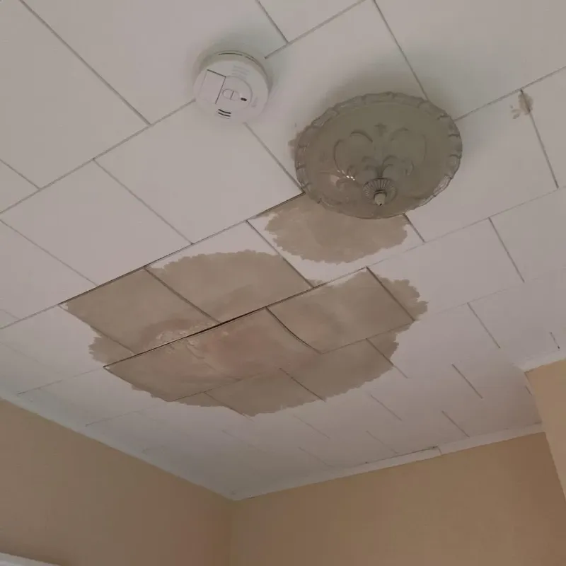 Ceiling Water Damage Repair in Lone Tree, IA