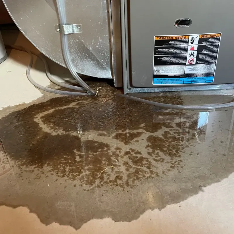 Pipe Burst and Leak Restoration in Lone Tree, IA