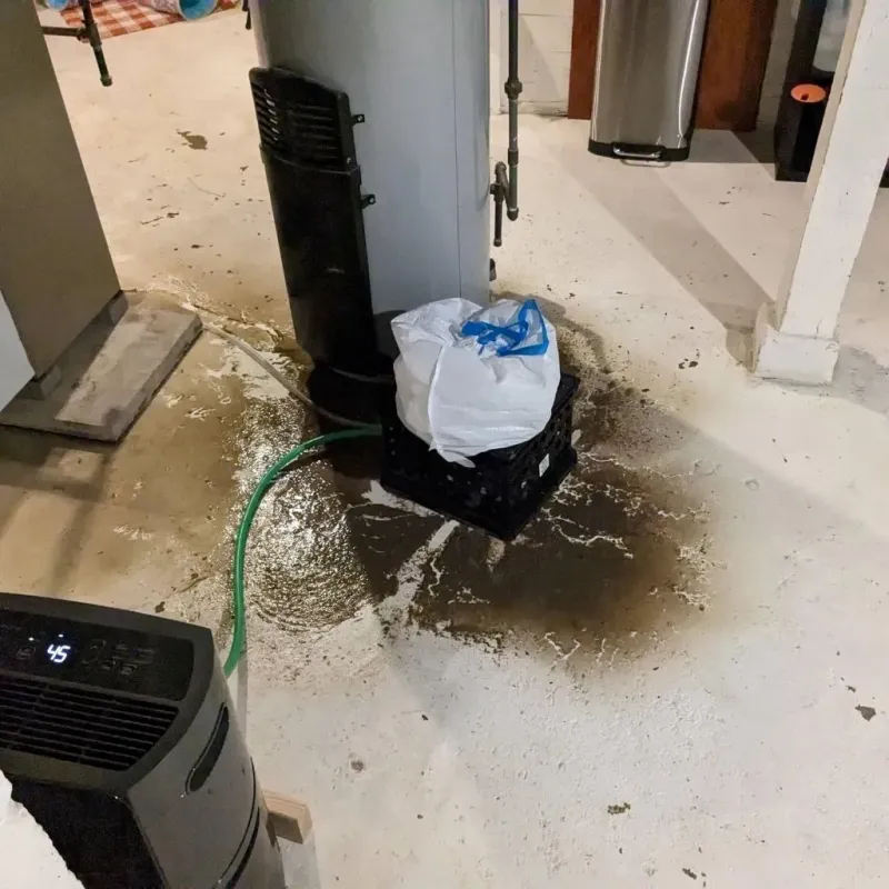 Sewage Backup Cleanup Service in Lone Tree, IA